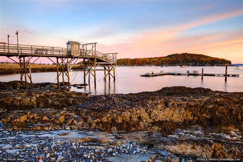 low tide bar harbor maine